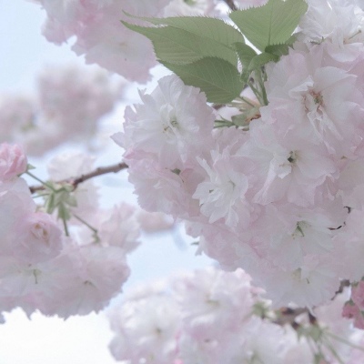 Furry绘画原创思路兽圈群